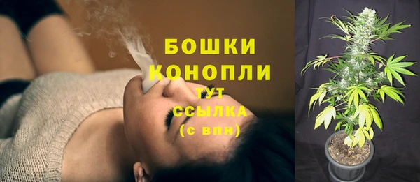 дживик Инсар