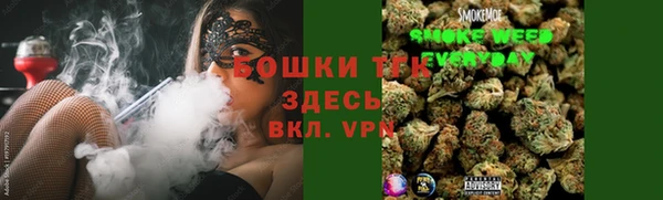 мдпв Каменка
