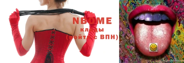 индика Новосибирск