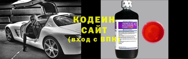 мдпв Каменка