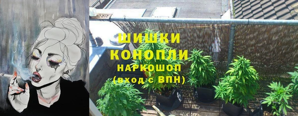 спиды Инта