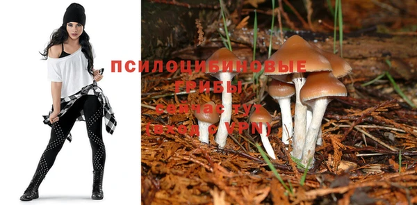 дживик Инсар