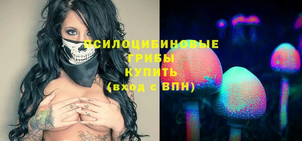 спиды Инта