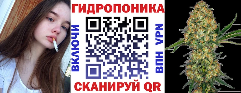 Шишки марихуана ГИДРОПОН  Купить закладки  Курчалой 